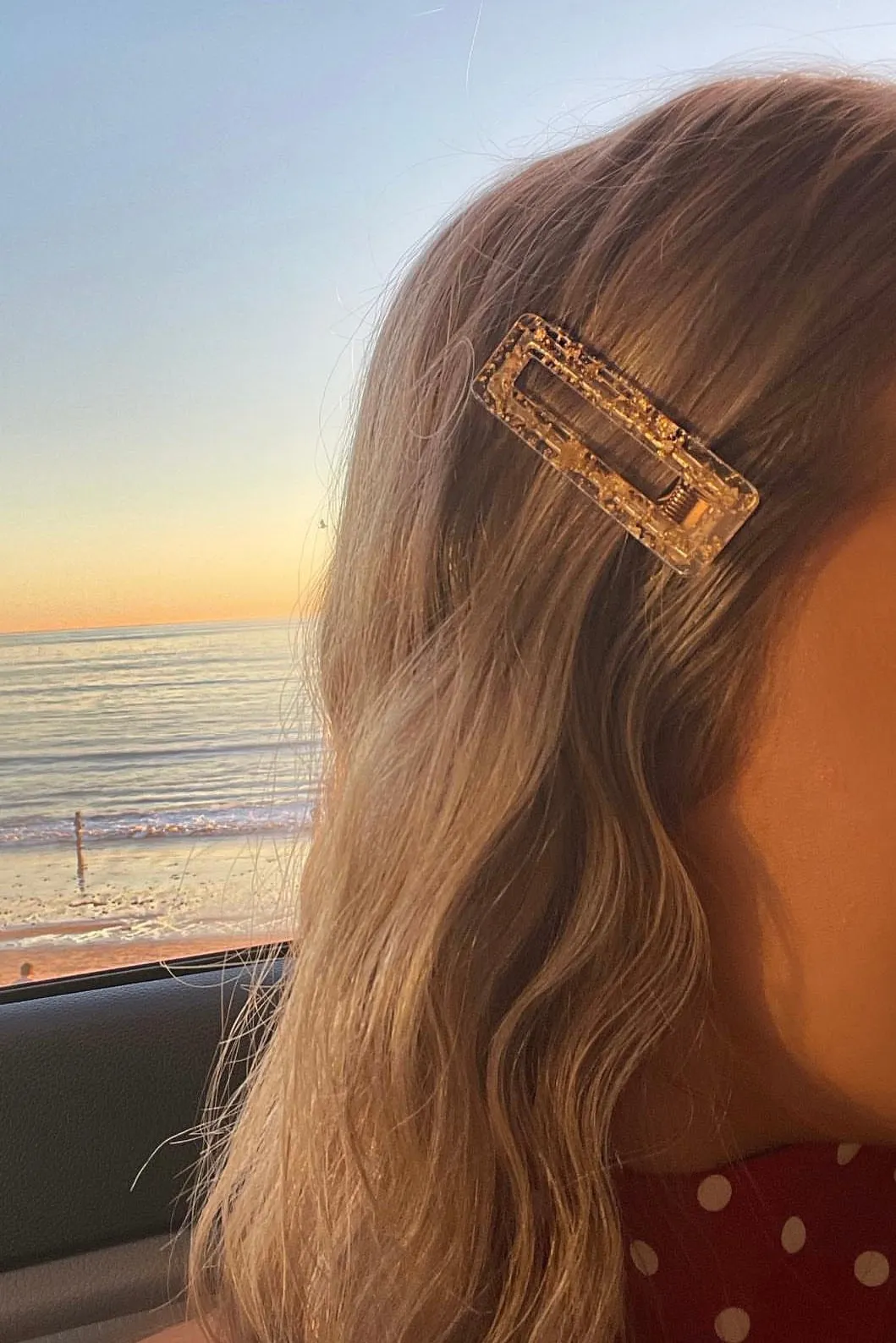 2pc Gold Leaf Resin Hair Clip Set