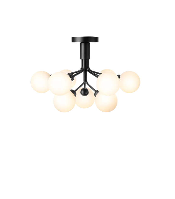 Apiales 9 Ceiling Lamp