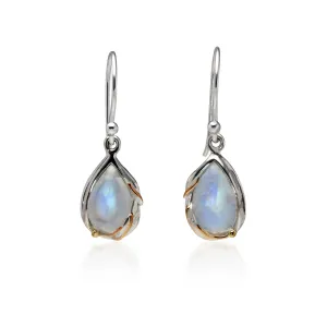 Banyan Rainbow Moonstone Droplet Earrings with Gold Fill Detailing
